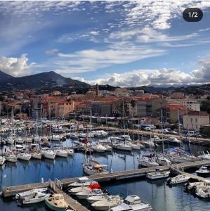 Appartements Location appartement propriano : photos des chambres