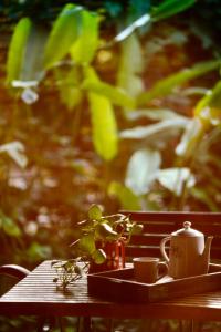 The Flying Squirrel Bandhavgarh