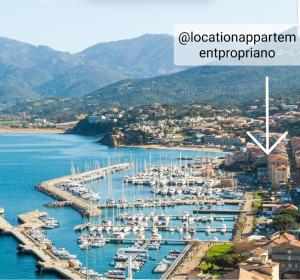 Appartements Location appartement propriano : photos des chambres