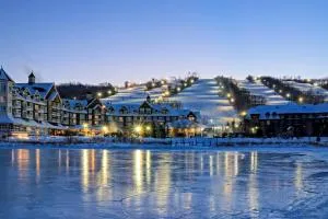 Snowbridge - Nottawa