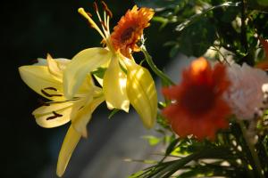 La Jolie Longère Fleurie Roulotte avec piscine et grand jardin