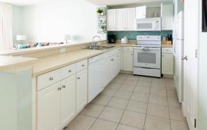 Turtle Tales at Majestic