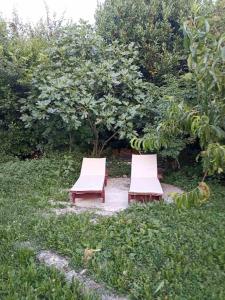 Kamp Seosko domaćinstvo Radman - Bungalov