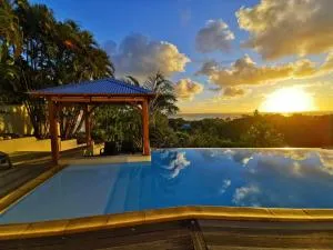 Le Colibri d'isa - 戈亚夫