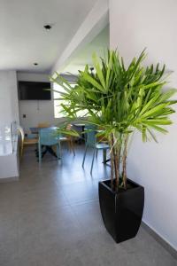 Aurora Hotel Boutique