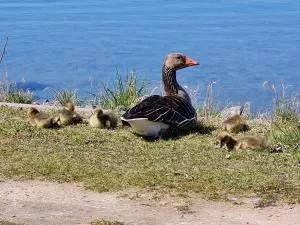 I5a EG - Lieblingsplatz - Lemkendorf