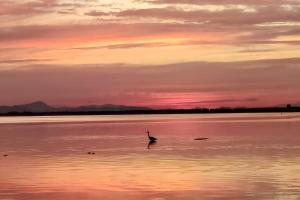 Villa Veneziola La Manga