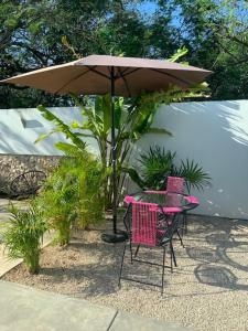 Estudio en “casa Livia” con piscina y jardín.