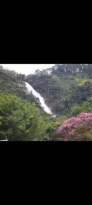 Casa de campo maciel - Abel