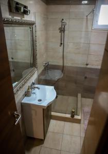 Dva apartmana u centru Novog Sada