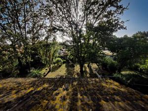 Appartamento con giardino