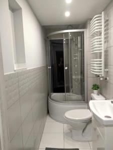 San River Apartment - Apartament nad Sanem