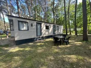 Goolderheide 369 - 佩尔