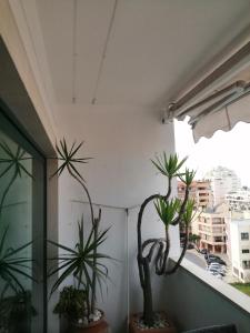 Cascais Luxury Top Floor Apt