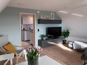 Ferienwohnung Weitblick - باد شوسنريد