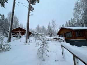 Villa Joutsen with jacuzzi
