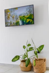 Aegean Aura Apartment III