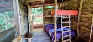 YooNashi - Reserva Ecológica y Experiencias Comunitarias