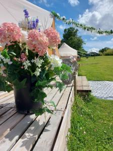 Hopgarden Glamping Exclusive site hire - Sleep up to 50 guests