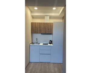 Crystal Loft Bakuriani - A406