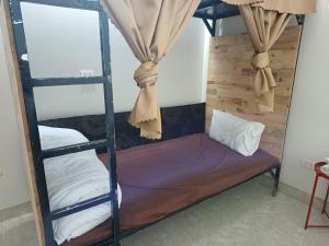 Ha Giang Yolo House and Loop Tours