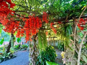 หลัง 1 เฌอเฌอ การ์เด้น เฮาส์ ที่พักคำชะโนด