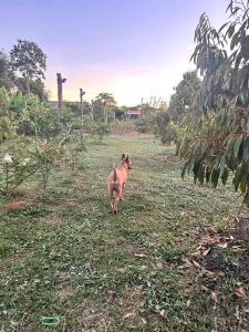 หลัง 1 เฌอเฌอ การ์เด้น เฮาส์ ที่พักคำชะโนด