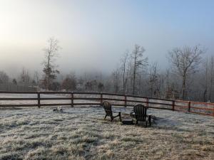 GREAT Little Guest Suite with Private Entry & Deck! Pet Friendly & 30 Mins to Nashville!