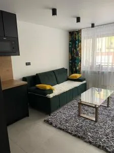 Apartament Żeromskiego2 - Wygnanki