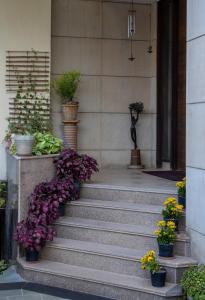 Perch Service Apartment- Sector 40