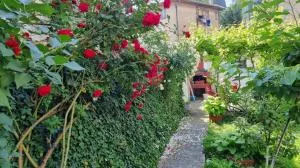 Bosnien Old House - Višnjevo