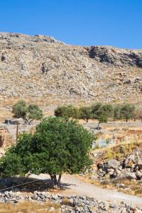 Lindos Portes Suites - Adults Only