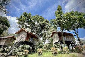 Mifan Resort And Waterpark