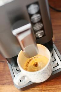 Villa Alexandra 1897 Wohnung Maria