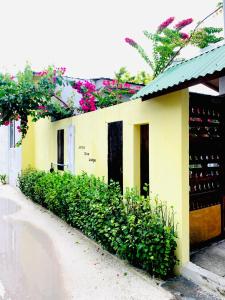 Jerrys Dive Lodge Rasdhoo