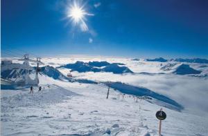 Tiny House Waldschmied 2