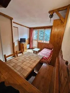 Appartement cosy à 100m des pistes - Modane