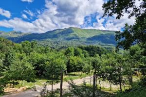 Mobilna hiška Lebanč