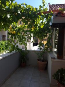 Apartment 22 Omiš