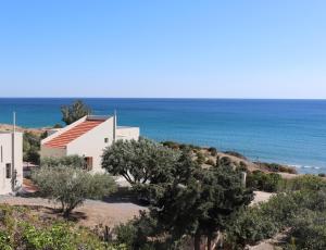 Armenopetra
