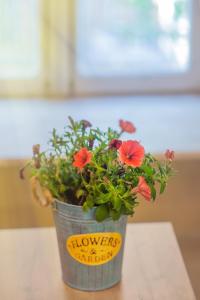 HB apartments Lado Asatiani