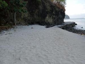 Jeremiah Homestay near Masasa Beach