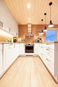 Beautiful mountain View Cabin in Lofoten