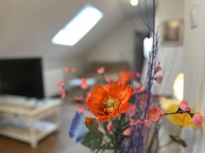 Le studio de Mamy Jacquotte Centre Cour-Cheverny