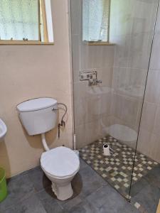 Woodpecker Bachelor Cottage