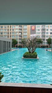 Chiang Mai Central Festival Best Pool Condo