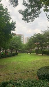 Chiang Mai Central Festival Best Pool Condo