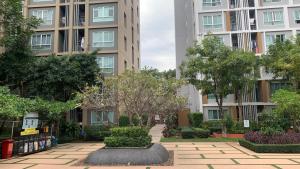 Chiang Mai Central Festival Best Pool Condo