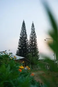 Thông Vi Vu Glamping - Ấp Thiện Lập