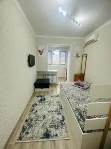 Новый формат Студии на Абая-Саина с великолепным видом на горы. - Imeni Stalina